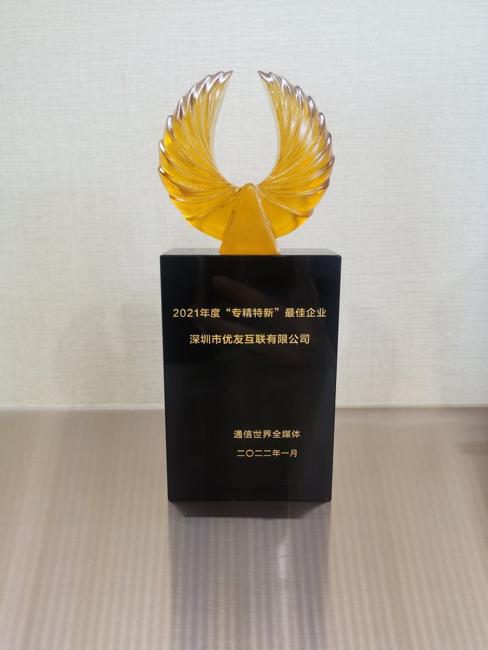 2021年度“专精特新”最佳企业